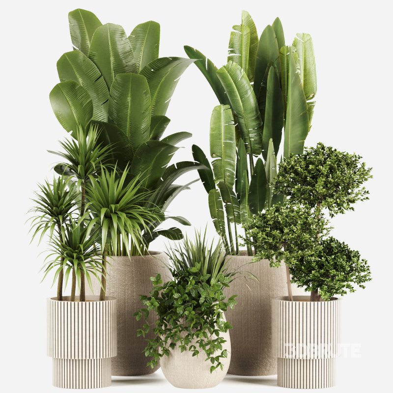 Indoor plants set160 Image 2