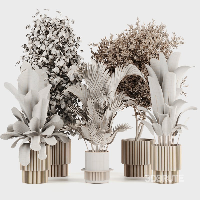 Indoor Plants set 166 Image 5