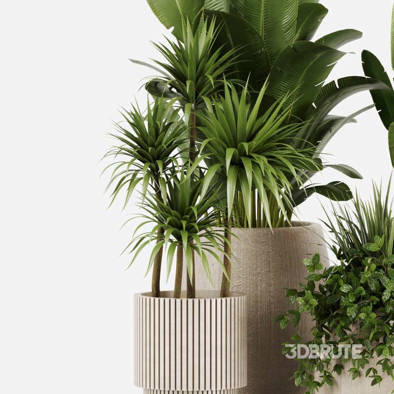 Indoor plants set160 Image 3