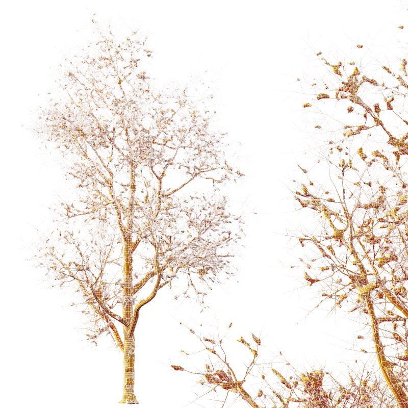 AV Plants Ash Tree Winter Snow Set03 Image 3