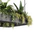 Indoorplants-Hanging set88 - Thumbnail 5