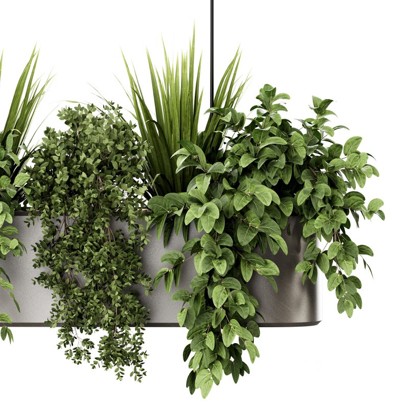 Indoorplants-Hanging set87 Image 2