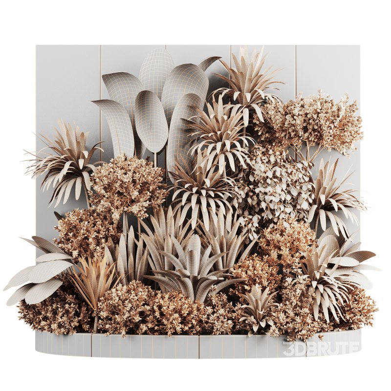 Plants In Box set-154 Image 7