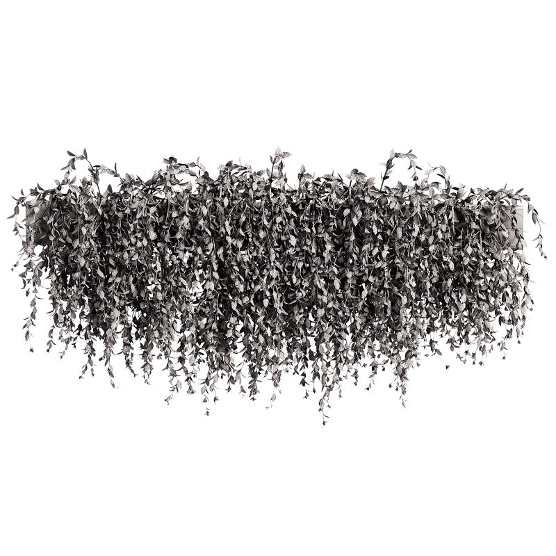 Green succulent leaves hanging vines Image 4