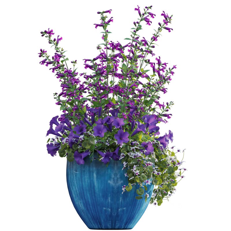 Pot plant 02 Image 2