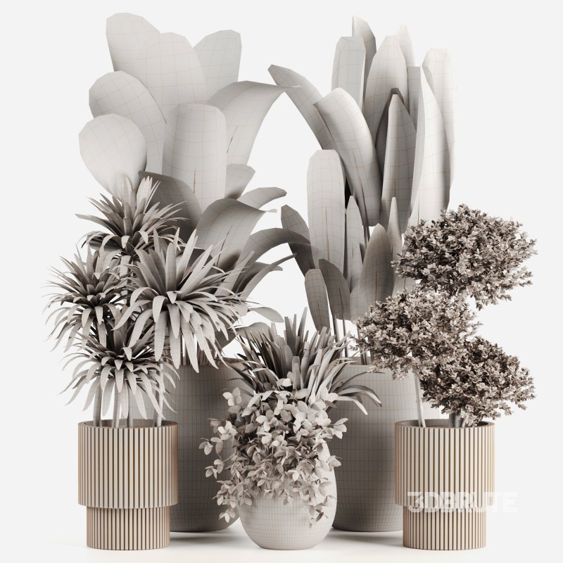 Indoor plants set160 Image 5