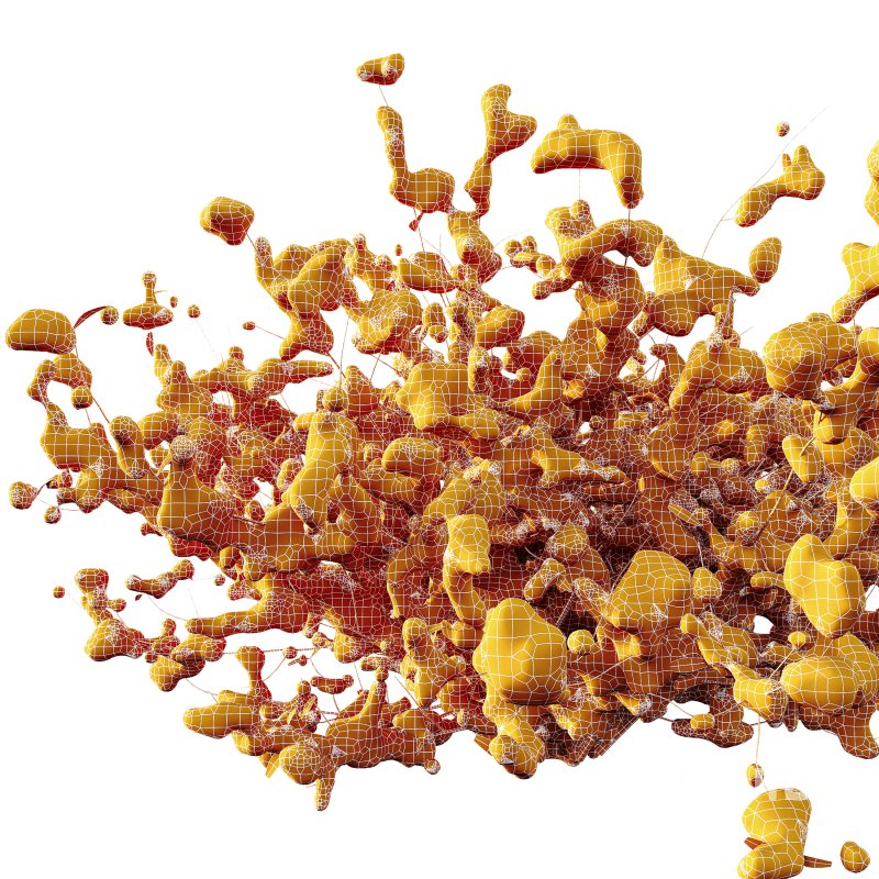 AV Plants Abelia X Grandiflora Red Glossy Radiance Sherwood Winter Snow Image 3