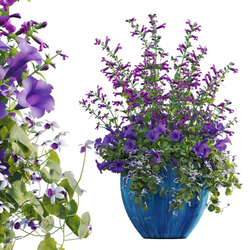 Pot plant 02