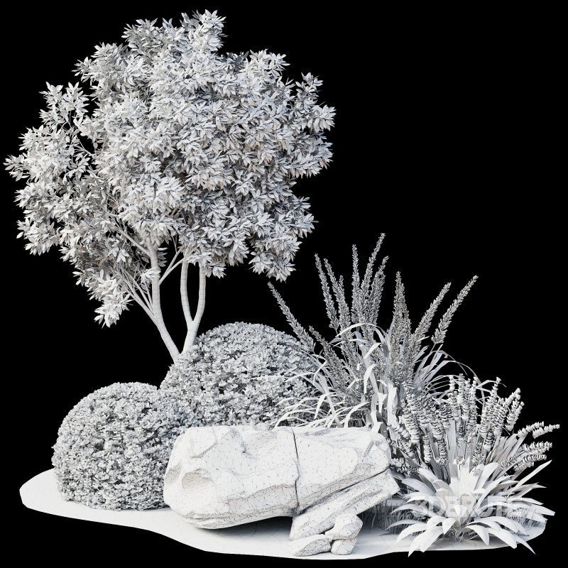 Outdoor Plant 38 Image 2