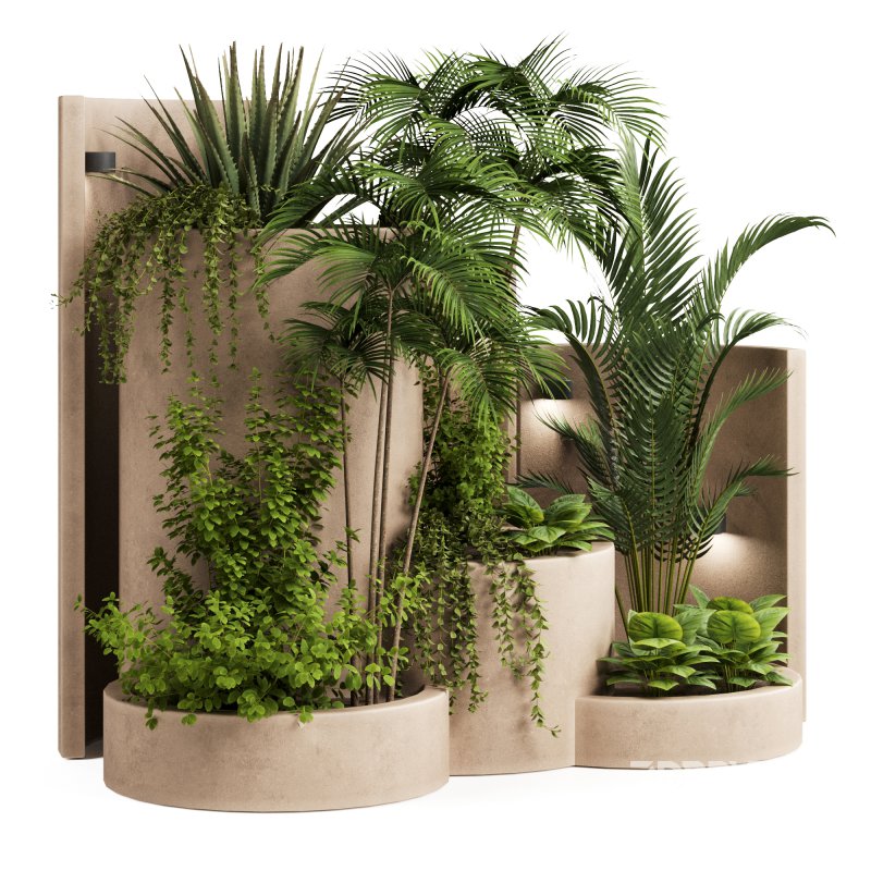 Backyard and Landscape Set-37 Image 3