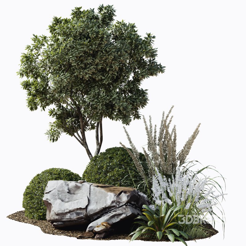 Outdoor Plant 38 Image 1