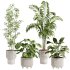 plants set - Thumbnail 1