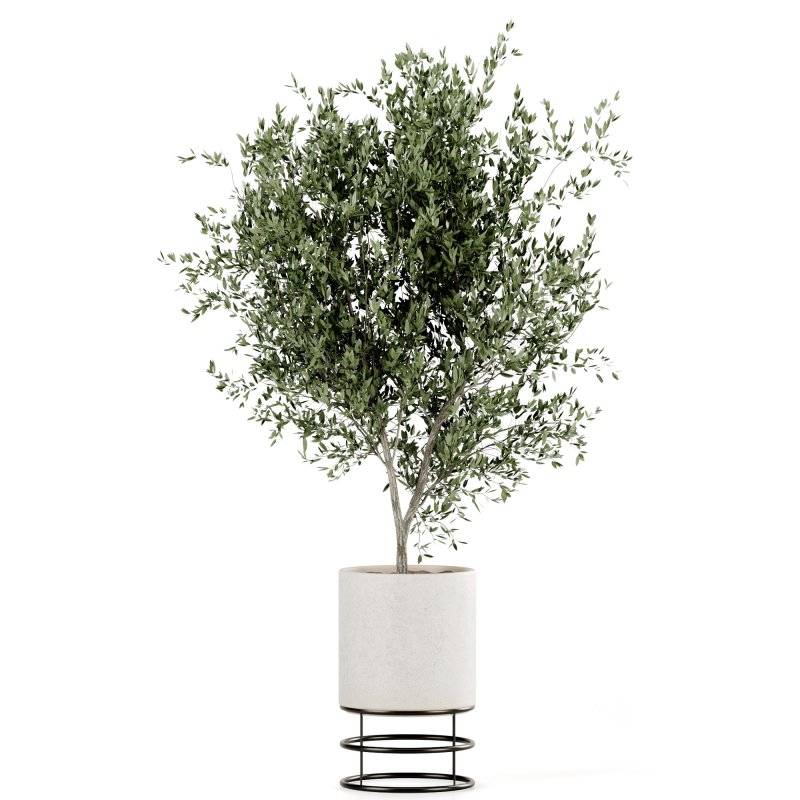 Indoor Plants set 165 Image 4