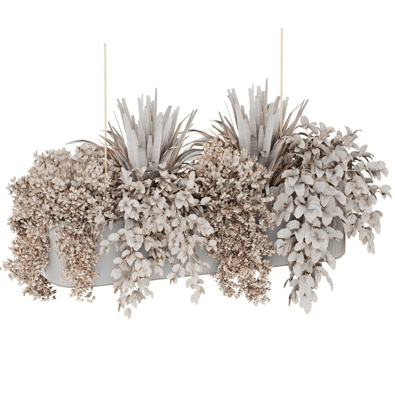 Indoorplants-Hanging set87 Image 4