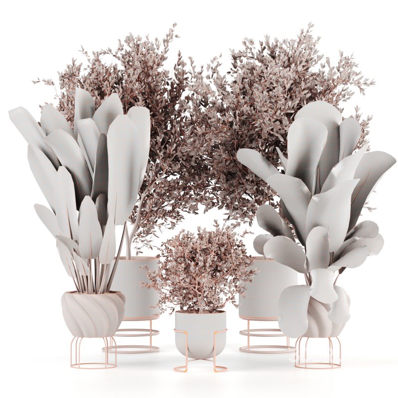 Indoor Plants set 165 Image 6