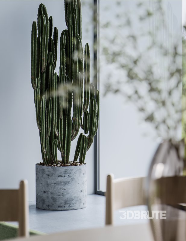 Living Room Dining Room Image 3