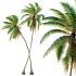 AV Cocos Nucifera Windy and Roystonea Regia palm trees - Thumbnail 1