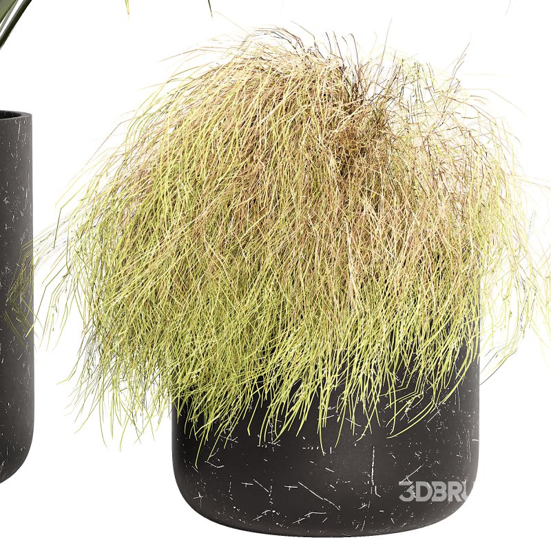 Outdoor Planters Image 6