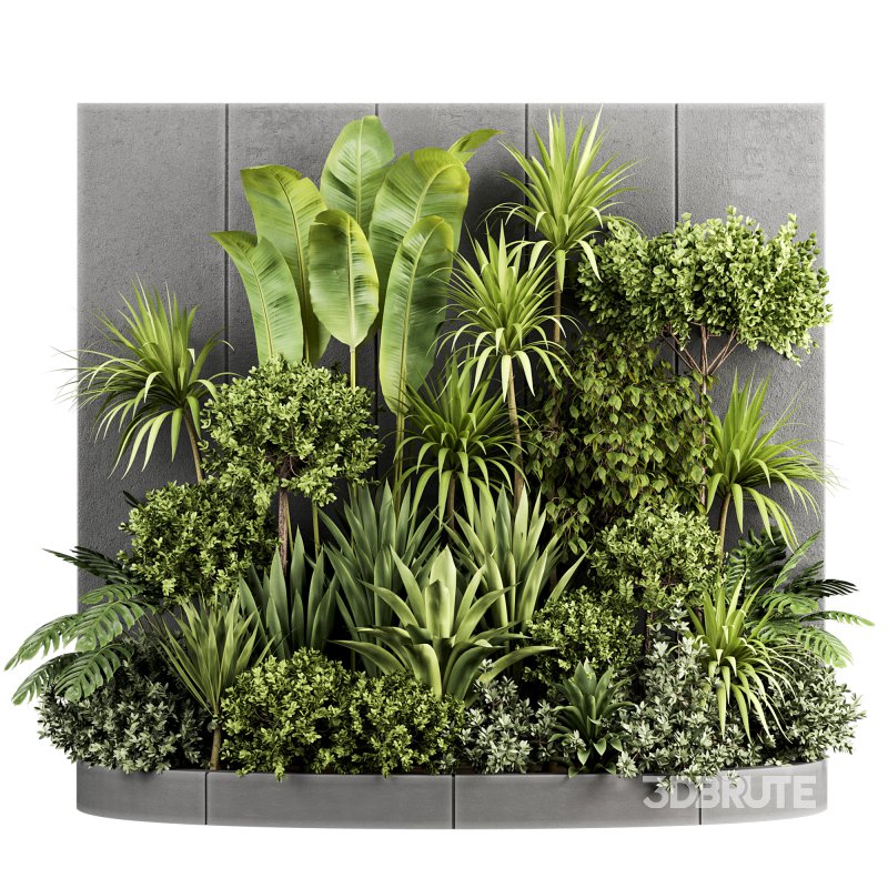 Plants In Box set-154 Image 3