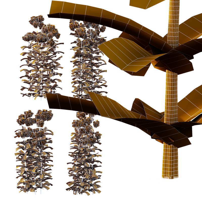 Eupatorium Purpureum Plant 01 Image 8