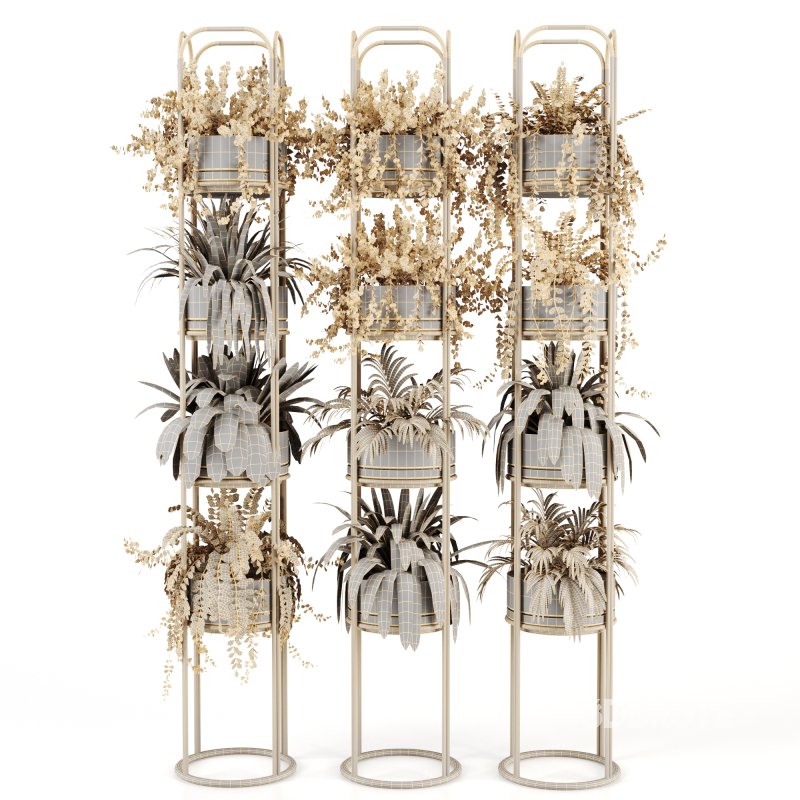 Indoorplants-Stand plant ivy set-164 Image 4