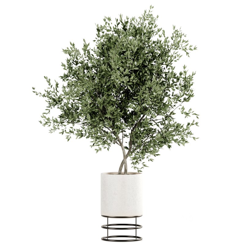 Indoor Plants set 165 Image 5