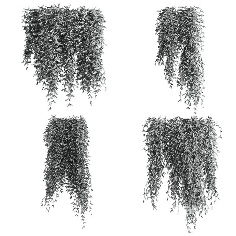 Plants_Set_61 Image 2