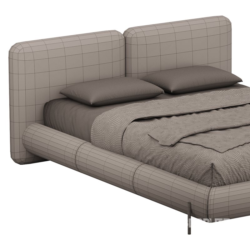 The TROPHAS bed Image 14