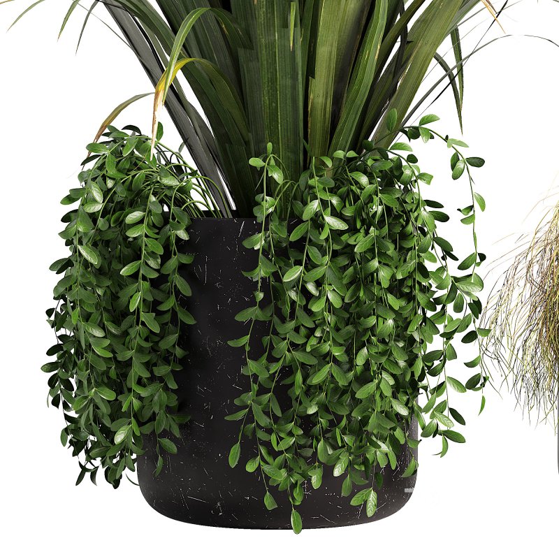 Outdoor Planters Image 3