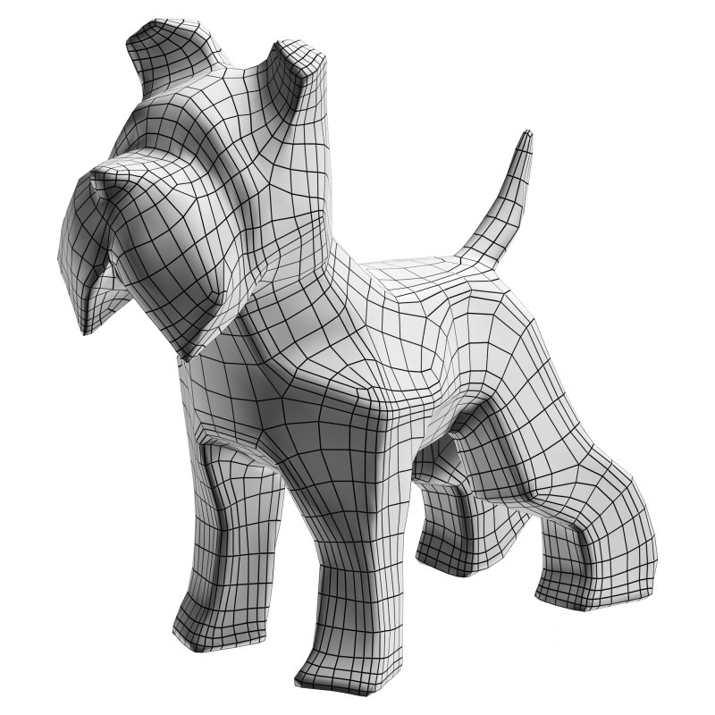 Schnauzer dog Image 6