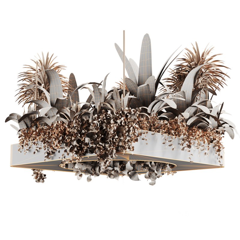 Indoorplants-Hanging set88 Image 6