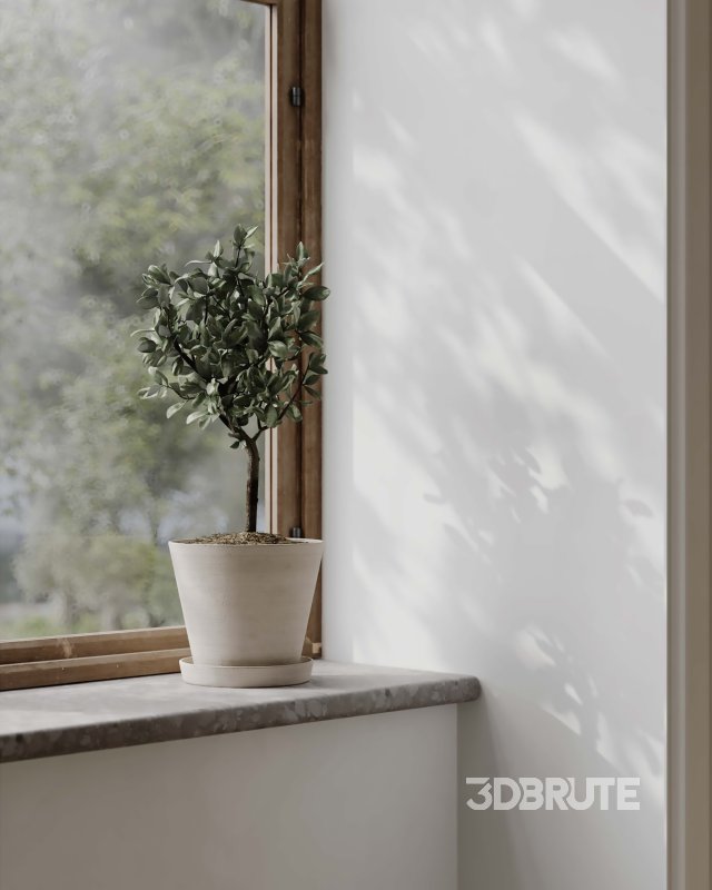 Living Room Dining Room Kitchen Image 14