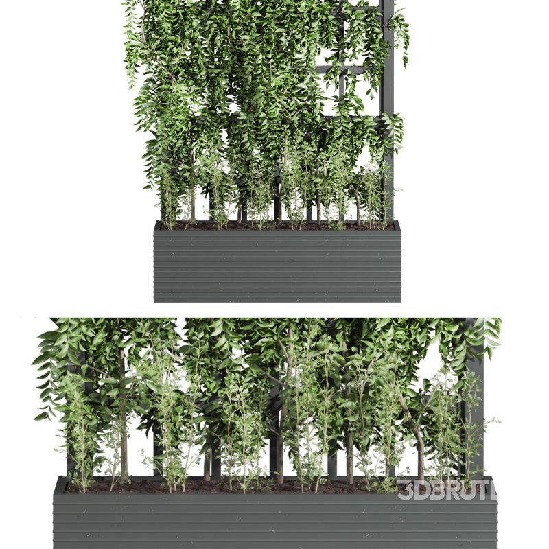 Plants_Set_66 Image 2