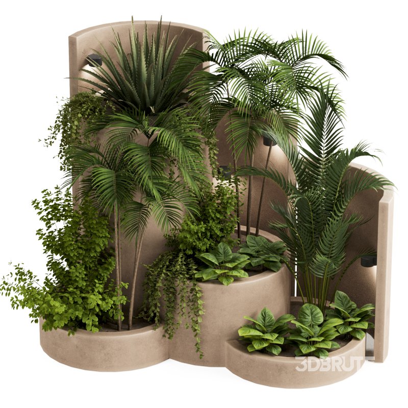 Backyard and Landscape Set-37 Image 4