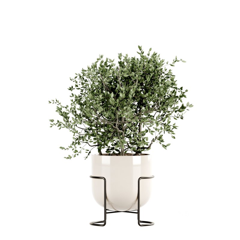 Indoor Plants set 165 Image 7