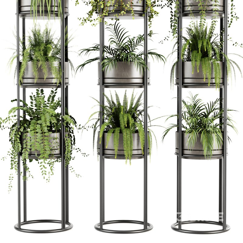 Indoorplants-Stand plant ivy set-164 Image 3