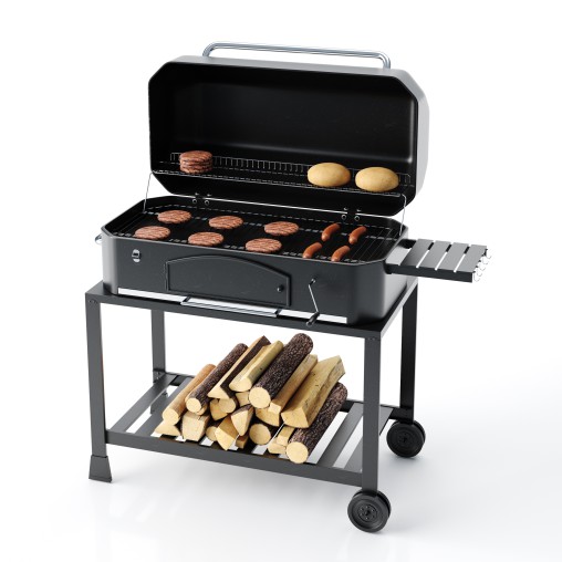 Barbecue 14