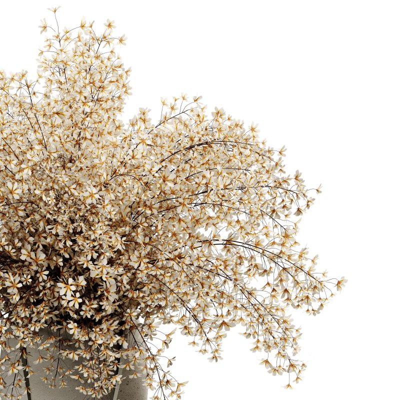 Bouquet-set10 Image 3