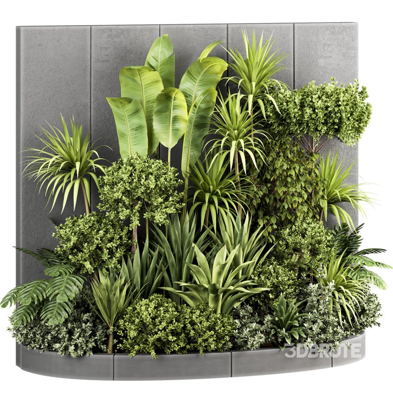 Plants In Box set-154 Image 4