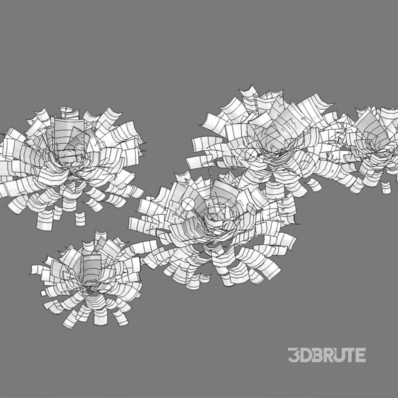 Marchantia polymorpha Image 3