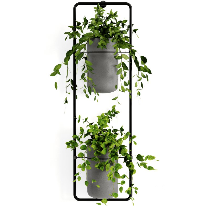 Indoorplants-shelf plants set156 Image 3