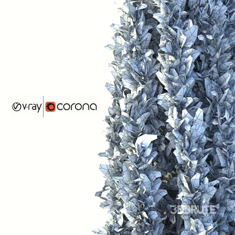 Cypress tree 01 Image 2