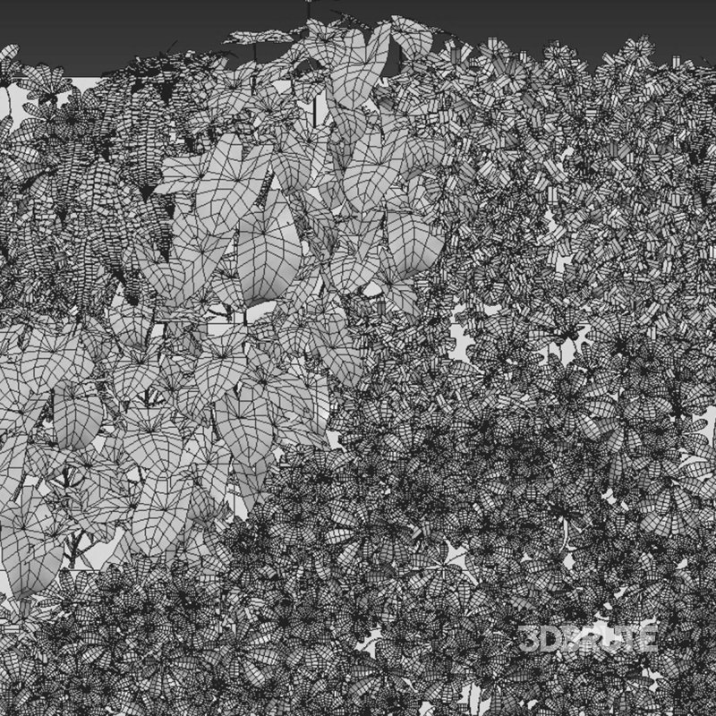 Vertical garden 04 Image 2