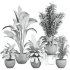 plants set - Thumbnail 2