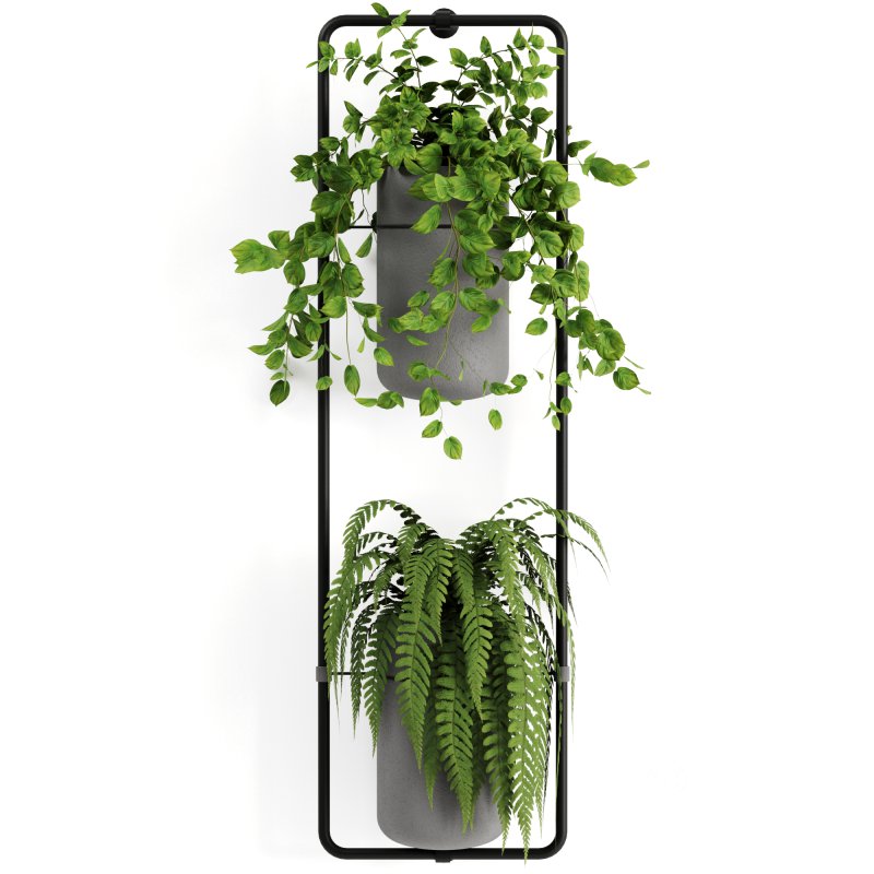 Indoorplants-shelf plants set156 Image 4