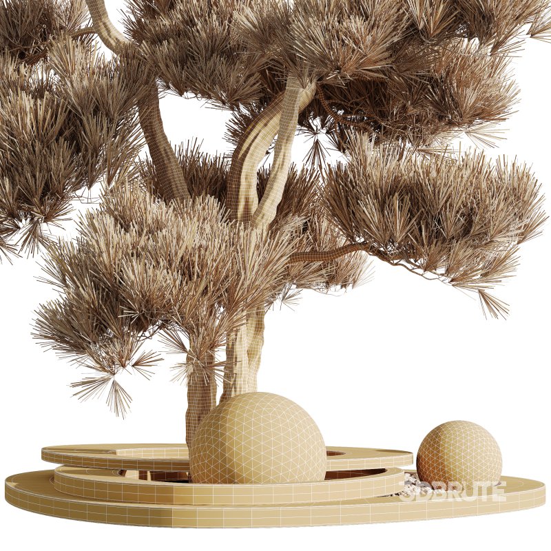 AV Mission Kalamata Leccino Arbequina Wilsonii Chemlali Olive HousePlants Set50 Image 3