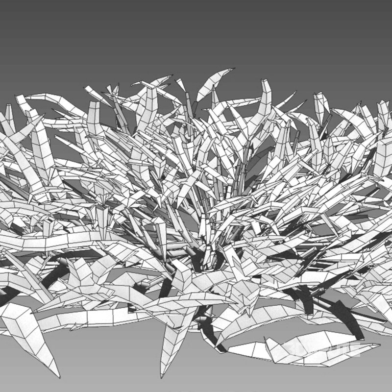 Eremochloa ophiuroides – cut 01 Image 7