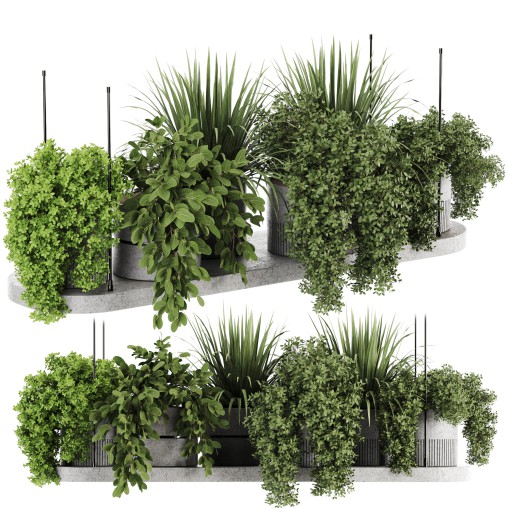 Indoorplants-Hanging plants set-85