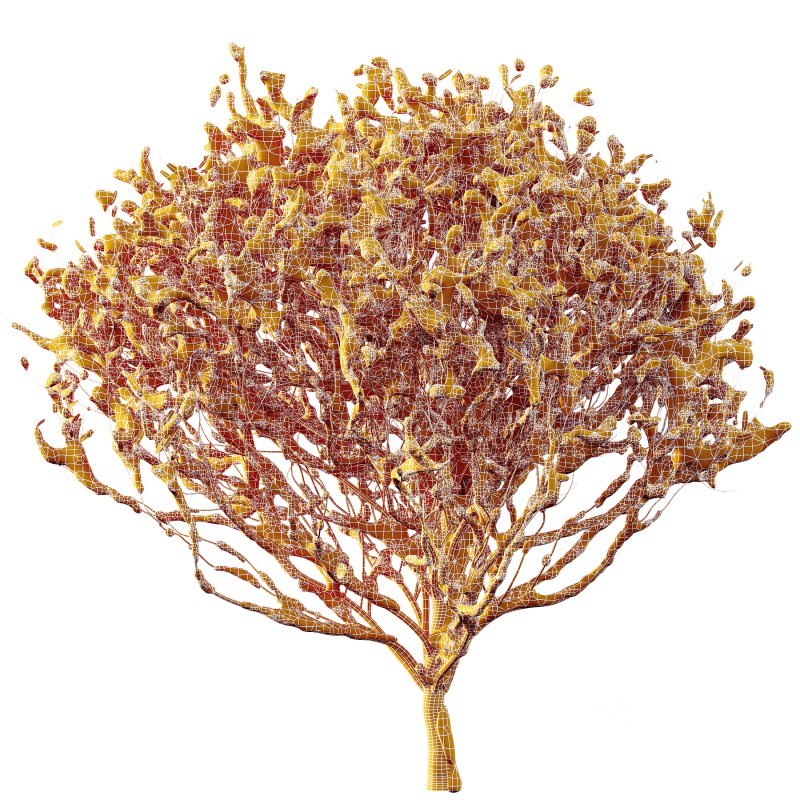 AV Plants Cistus Albidus Zistrose Winter Snow Image 3