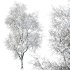 AV Plants Ash Tree Winter Snow Set03 - Thumbnail 1